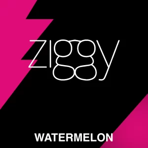 watermelon.webp